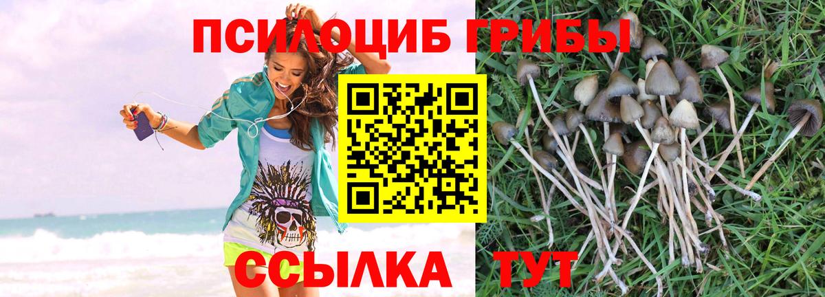 Галлюциногенные грибы MAGIC MUSHROOMS Новокузнецк