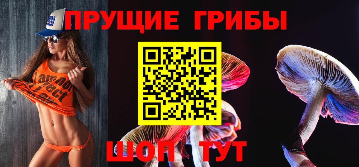 Галлюциногенные грибы MAGIC MUSHROOMS Новокузнецк