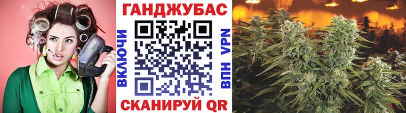 закладка  Новокузнецк  Конопля Amnesia 