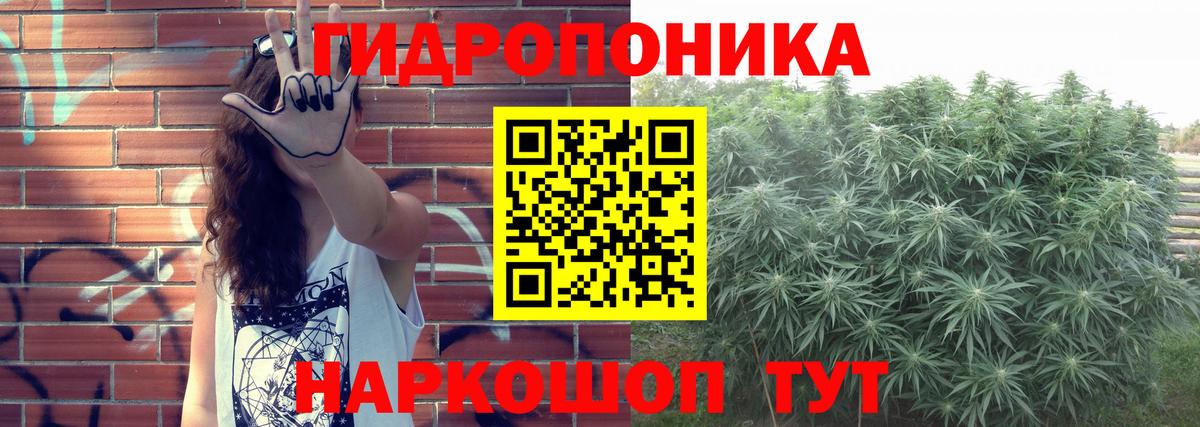 Бошки марихуана ГИДРОПОН Новокузнецк