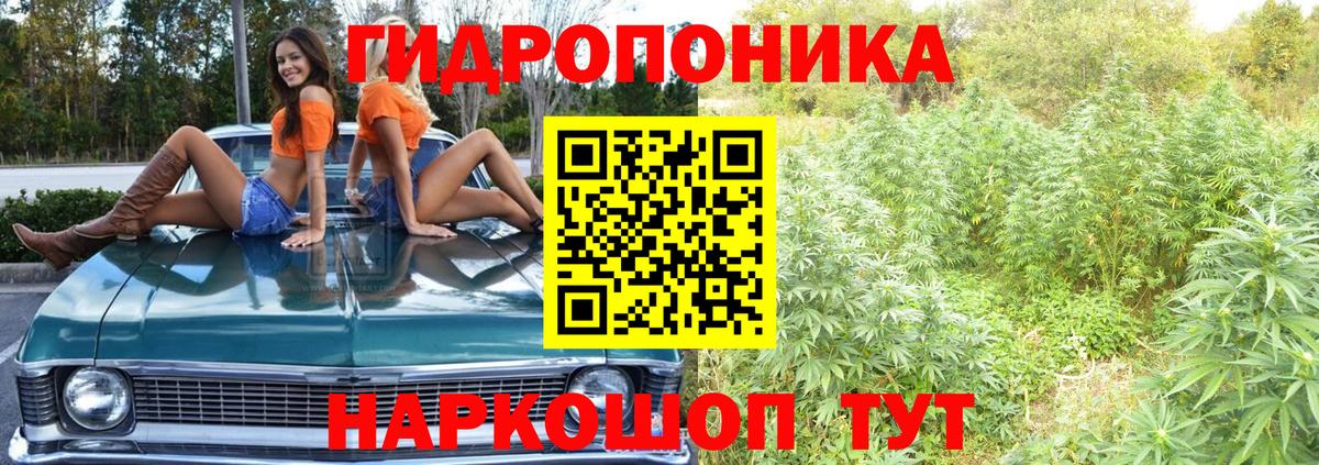 Шишки марихуана Amnesia  Новокузнецк  Марихуана конопля  Конопля MAZAR 